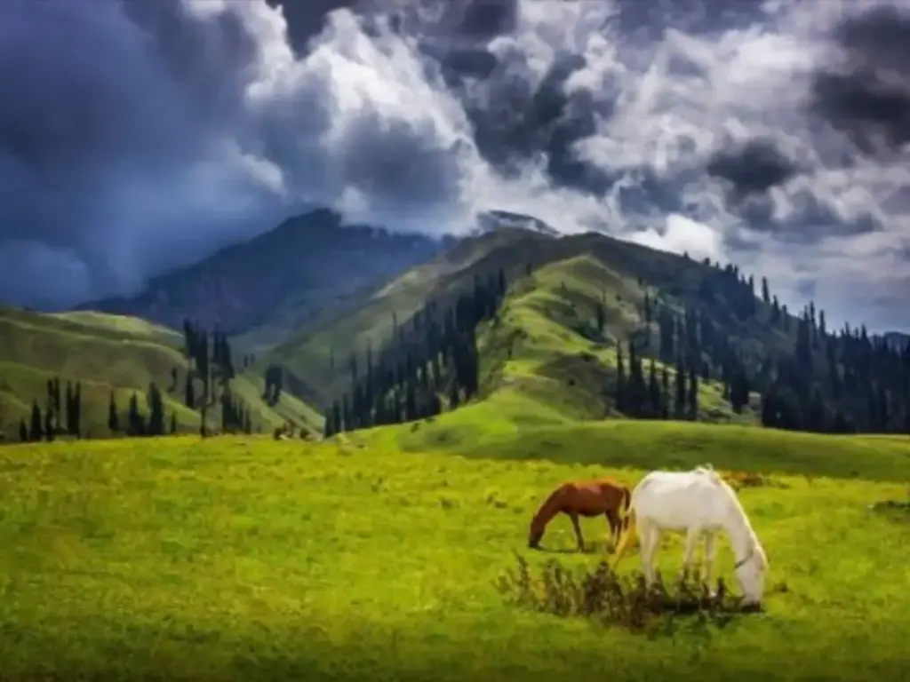 4 Days Budget Naran Kaghan Honeymoon