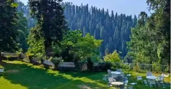 3 Days Murree & Nathia Gali Family Tour