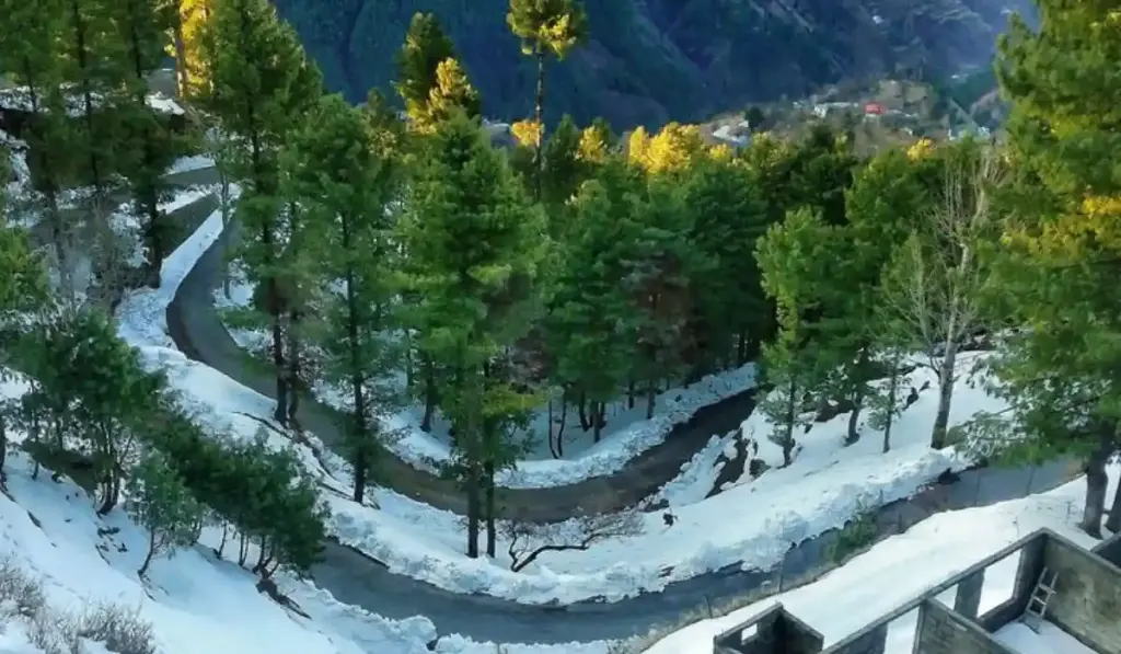 3 Days Murree Economy Honeymoon Package